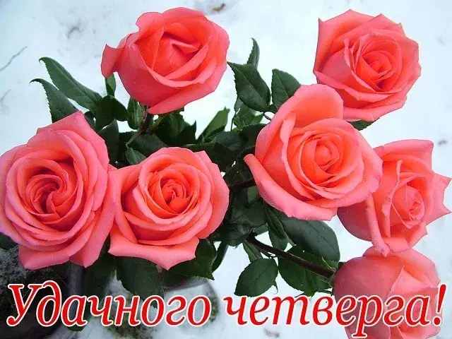 Открытка Удачного четверга - Букет роз на снегу - открытка с цветами | Красивая открытка #23