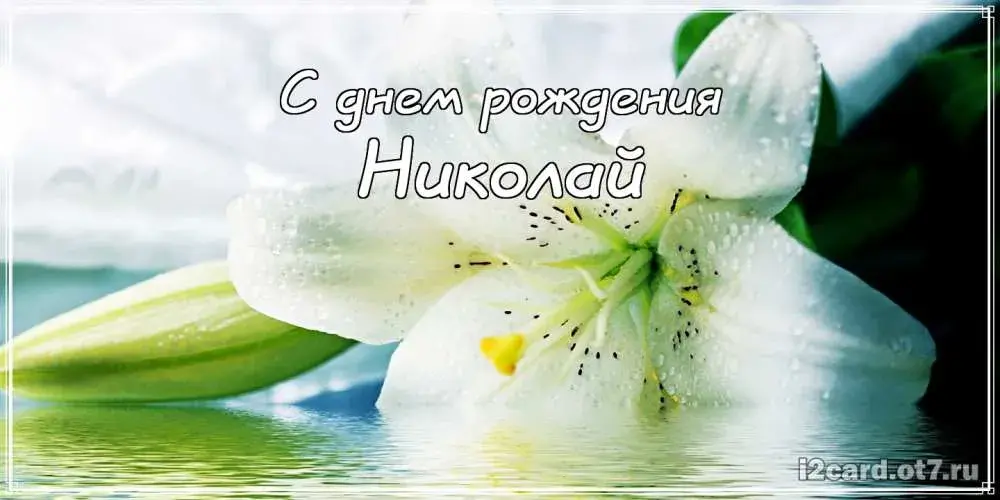 Открытка Открытки с именем Николай   - Открытка с лилией: нежные поздравления | Красивая открытка #103