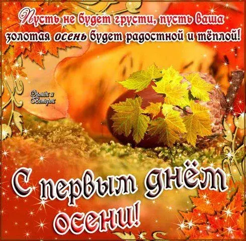 Открытка С первым днём осени - С Днём Осени! | Красивая открытка #56