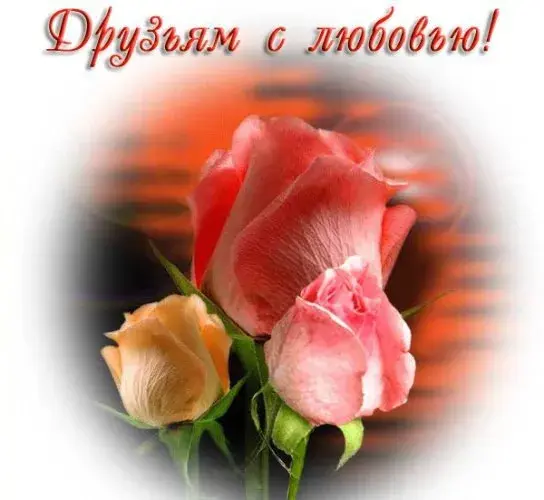 Открытка С любовью друзьям - Розовые розы на фоне заката. Открытка с цветами | Красивая открытка #15