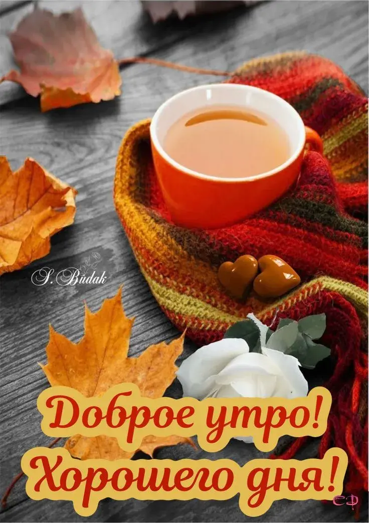 Открытка доброе осеннее утро - Осенняя открытка: чай, листья, текстиль. | Красивая открытка #6