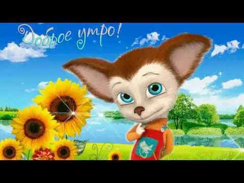 Открытка Доброе утро - Открытка с милым котенком и подсолнухами | Красивая открытка #387