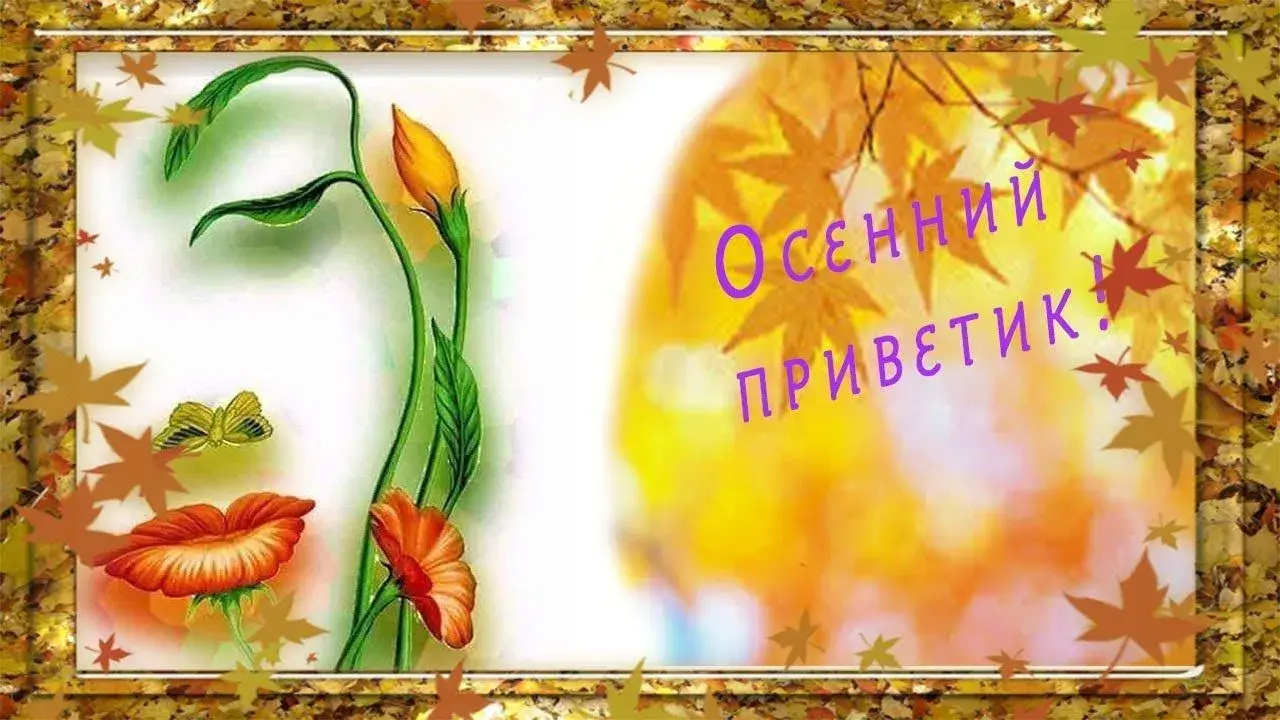 Открытка Октябрьский  - Открытка с красными маками и бабочками | Красивая открытка #8