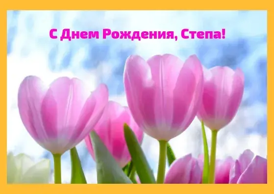 Открытка Открытки с именем Степан - Розовые тюльпаны на фоне голубого неба | Красивая открытка #135