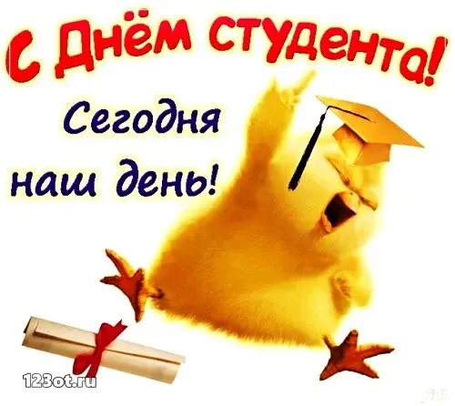 Открытка День студента - Открытка с цыпленком в шапочке и дипломом | Красивая открытка #88