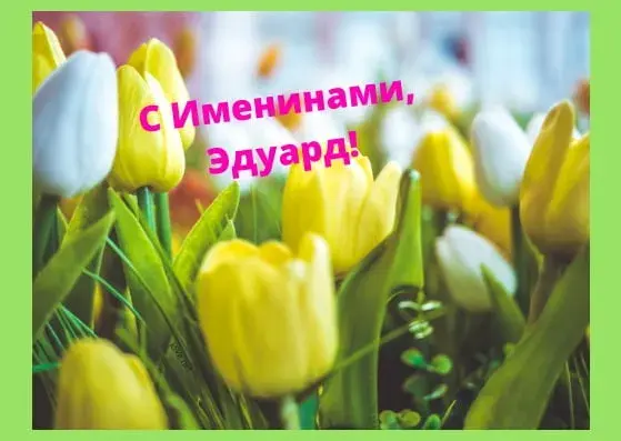 Открытка Открытки с именем Эдуард - Желтые тюльпаны: Красивая открытка с цветами | Красивая открытка #152