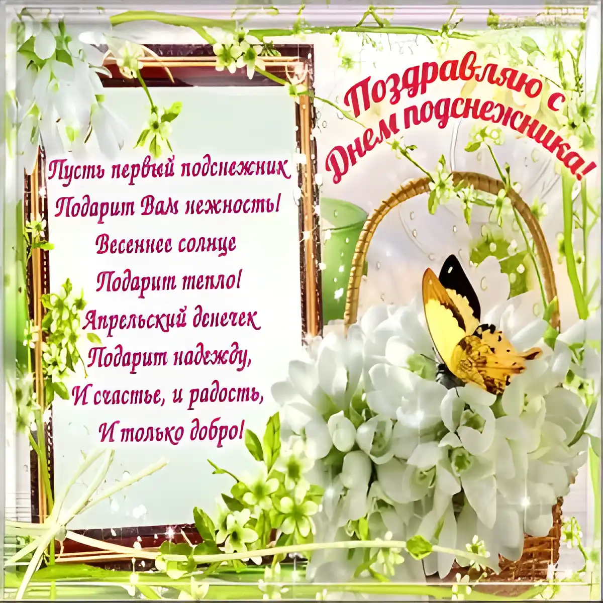 Открытка С днём подснежника - Открытка с цветами: нежность, весна, радость | Красивая открытка #37