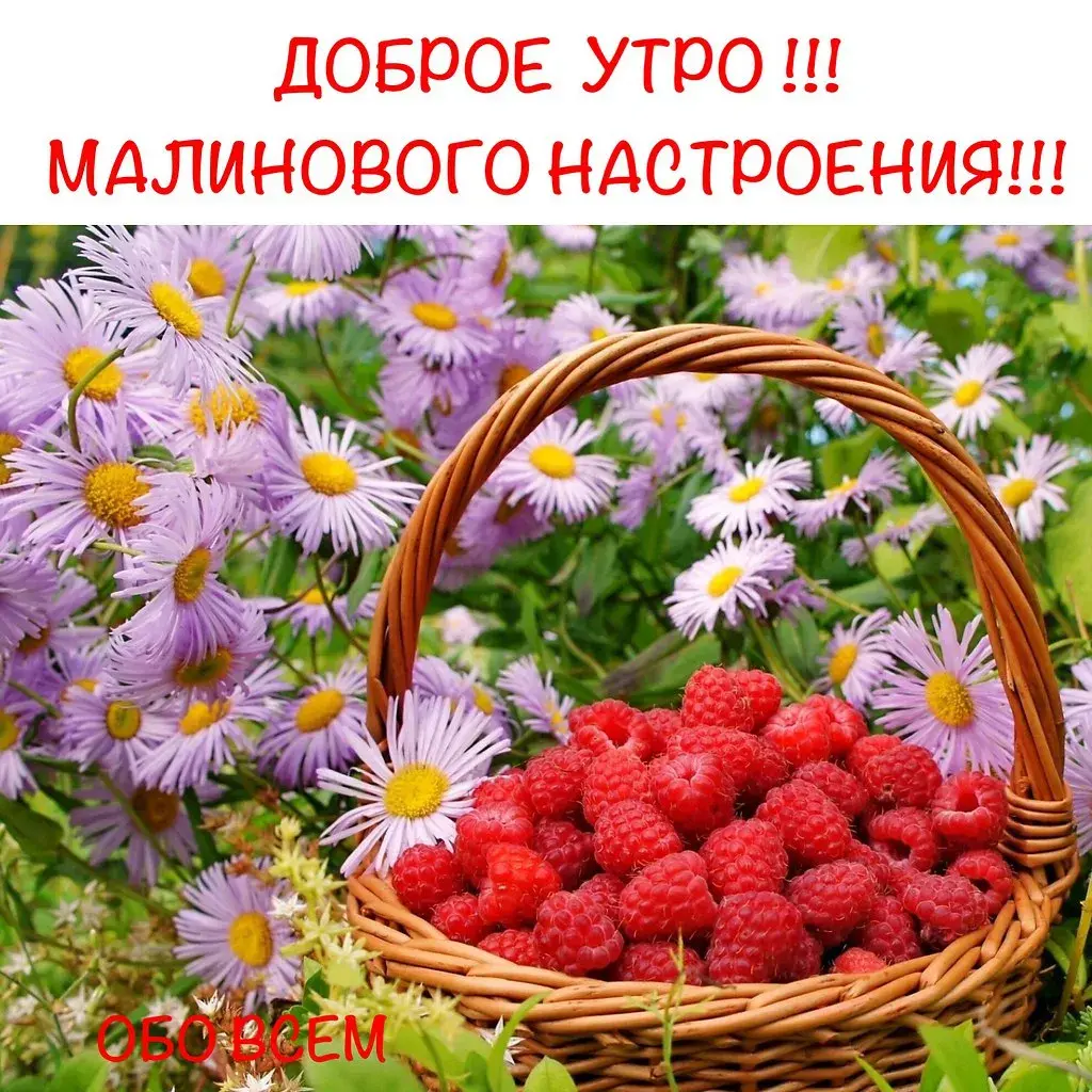 Открытка Доброе утро - Корзина с малиной на фоне цветов. Открытка | Красивая открытка #412