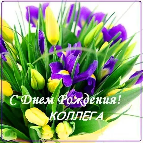 Открытка С Днём рождения коллеге - Открытка с цветами: день рождения  С Днём Рождения | Красивая открытка #27