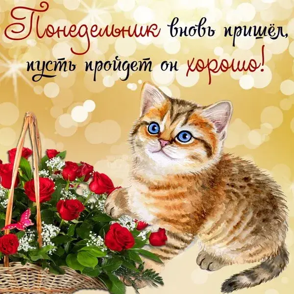 Открытка Доброе утро понедельник - Открытка с котенком и цветами | Красивая открытка #2