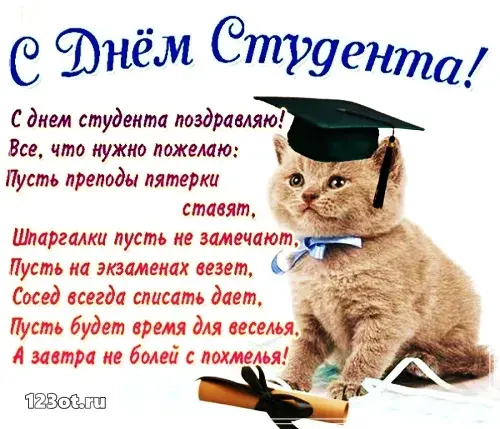 Открытка Открытки с днем студента - Поздравительная открытка с котиком-студентом | Красивая открытка #96