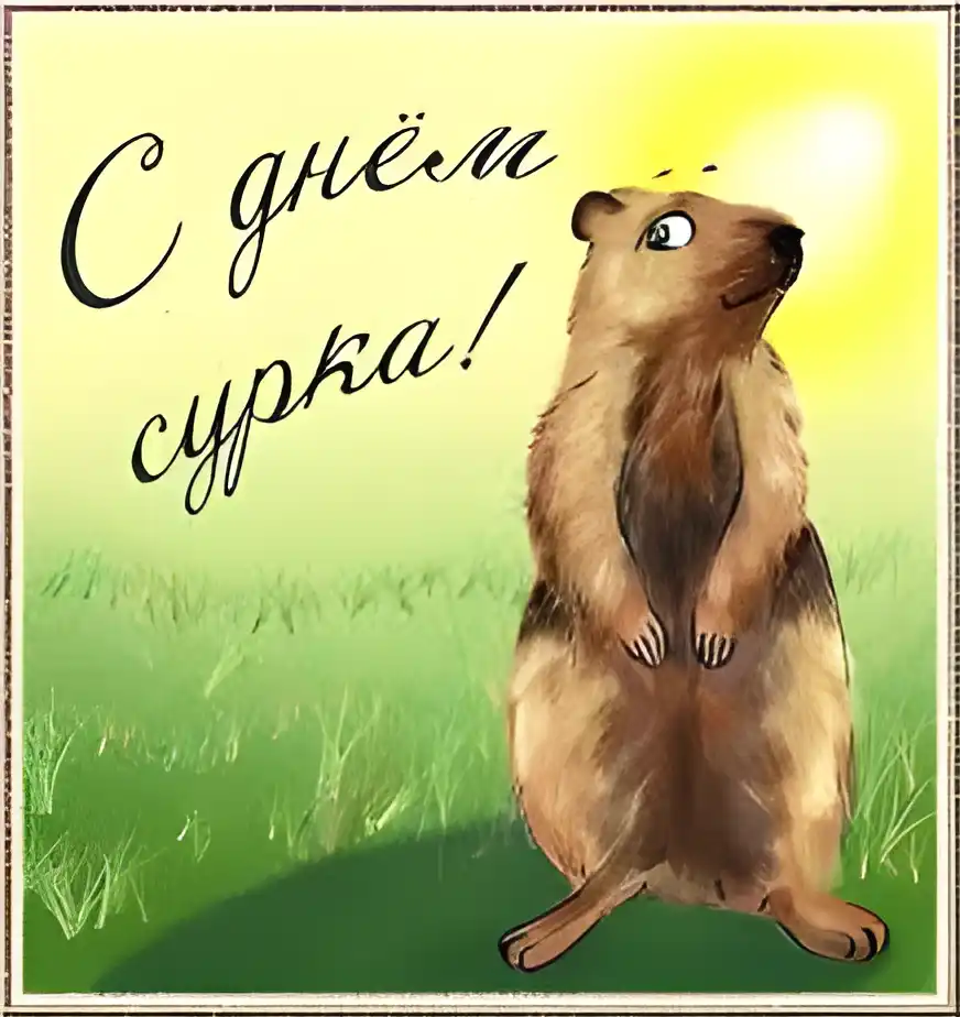 Открытка День сурка - Открытка с сурком на лугу | Красивая открытка #33