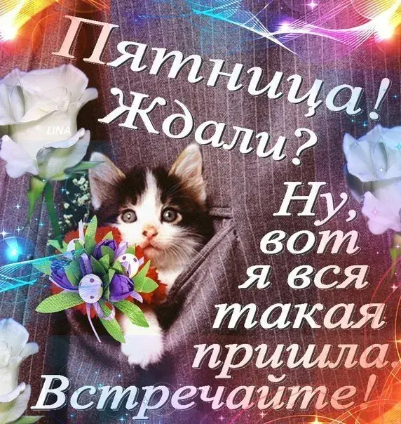Открытка Доброе утро пятница - Котенок с цветами на открытке | Красивая открытка #8