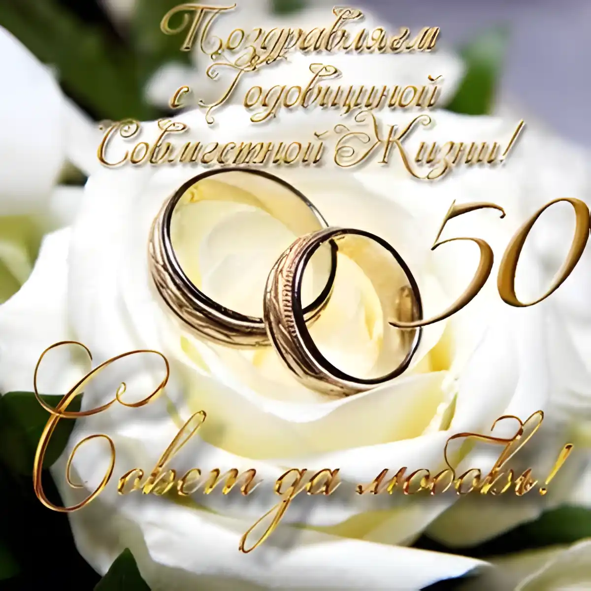 Открытка Открытки на Золотую свадьбу 50 лет - Золотые обручальные кольца на белых розах | Красивая открытка #93
