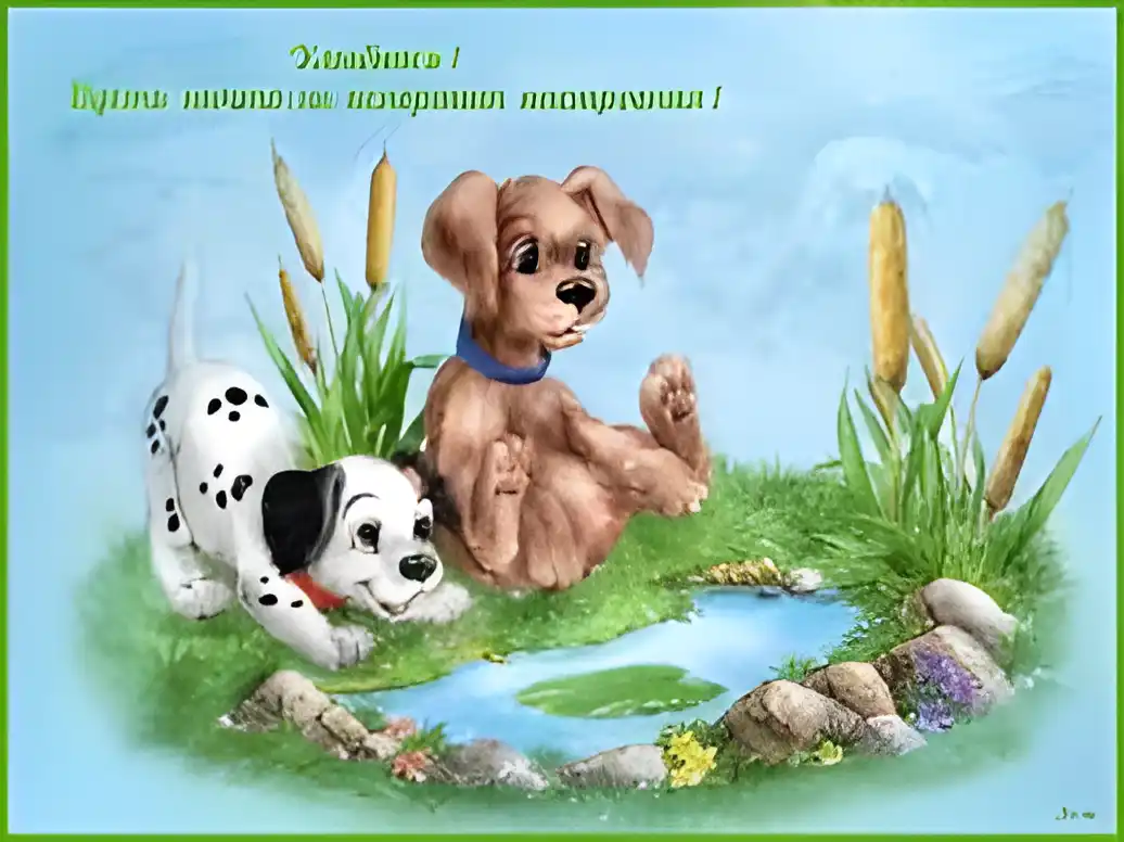 Открытка Улыбнись - Открытка с щенками на лугу | Красивая открытка #321