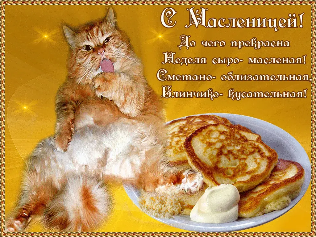 Открытка Масленица - Кот и блины: Веселая открытка на Масленицу | Красивая открытка #66