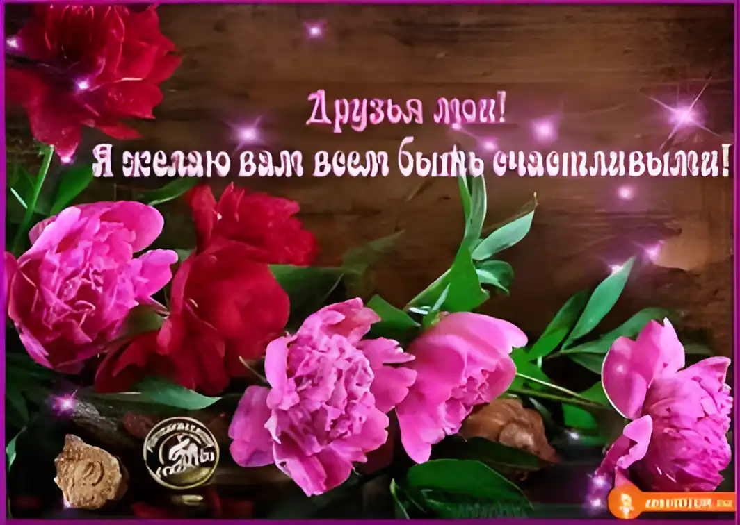 Открытка Открытки о дружбе - Открытка с розовыми пионами | Красивая открытка #155