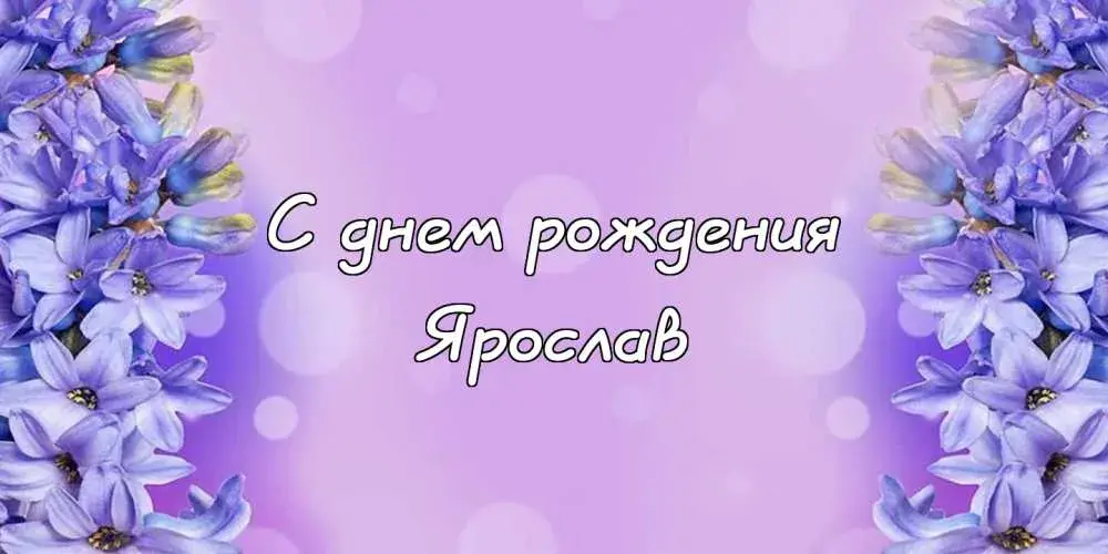Открытка Открытки с именем Ярослав  - С Днём Рождения: Фиолетовые цветы на открытке | Красивая открытка #259