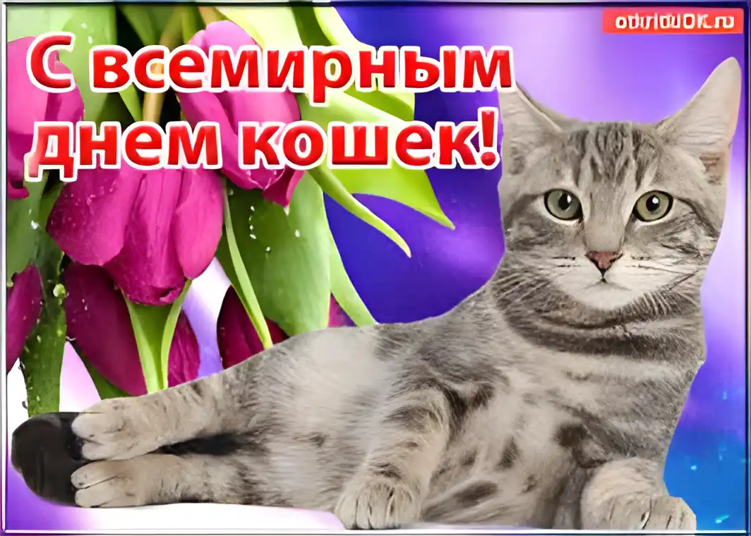 Открытка День Кошек - Котенок с тюльпанами: Открытка с милым котом | Красивая открытка #11