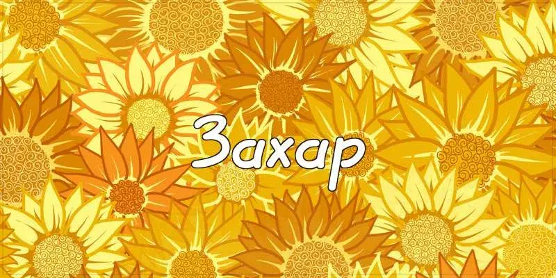Открытка открытки с именем Захар - Открытка с подсолнухами - яркий желтый фон | Красивая открытка #86