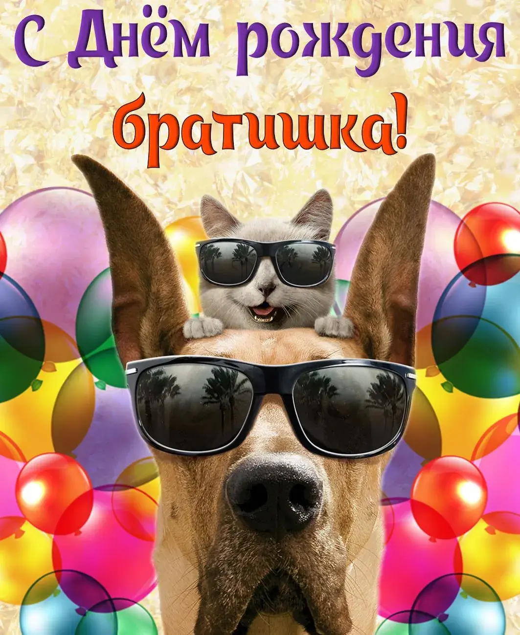 Открытка С днём рождения брат! - Собака и кот в солнцезащитных очках, праздничная открытка | Красивая открытка #16