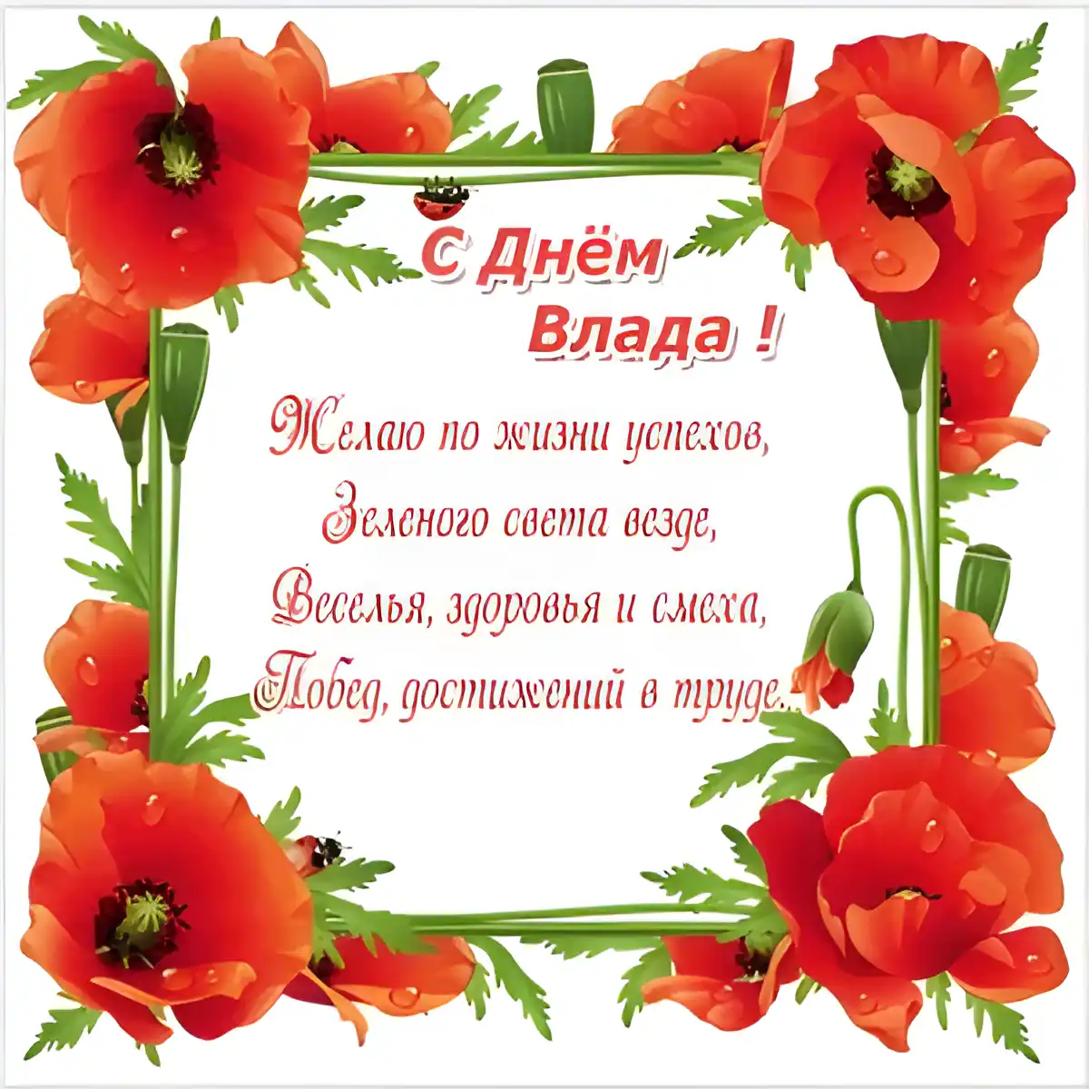 Открытка открытки с именем Владислав  - Открытка с маками: С Днем! | Красивая открытка #160