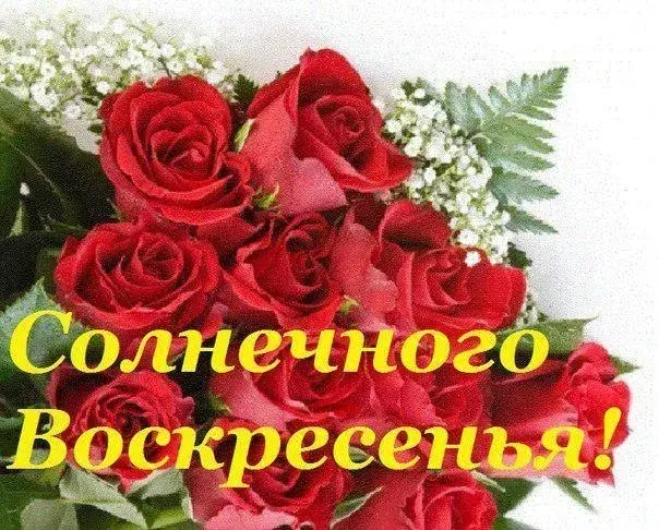 Открытка Открытки на воскресенье - Букет роз и белых цветов | Красивая открытка #159
