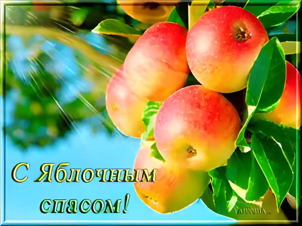 Открытка Открытки с Яблочным Спасом - С Днём Яблочного Спаса: Открытка с яблоками | Красивая открытка #49