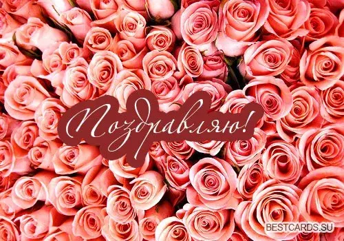 Открытка Поздравляю! - Открытка с розами: нежные красные цветы | Красивая открытка #63