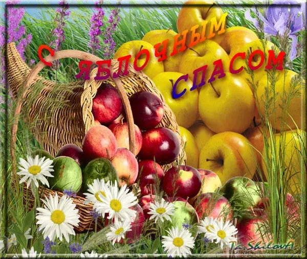 Открытка Яблочный спас - Корзина с фруктами: яблоки, груши, сливы - открытка | Красивая открытка #241