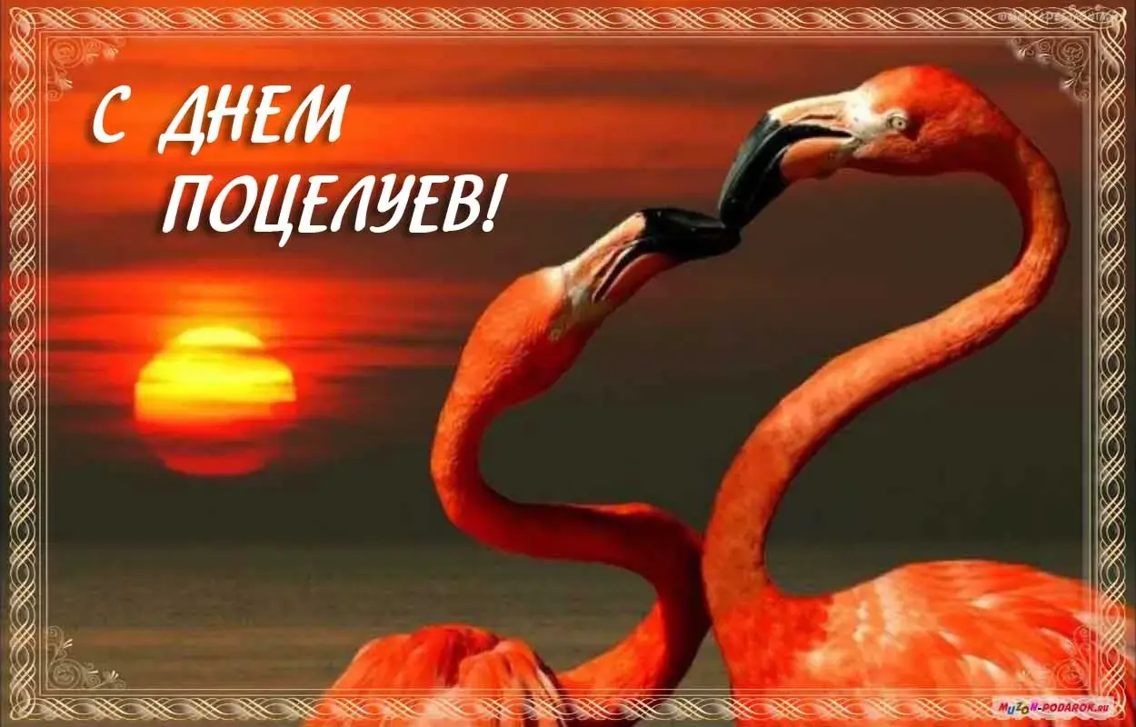 Открытка День поцелуя - Открытка с фламинго на закате: с Днем! | Красивая открытка #94