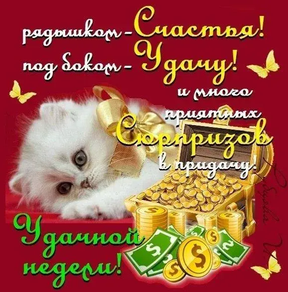 Открытка Хорошей недели - Открытка с котиком и деньгами | Красивая открытка #11