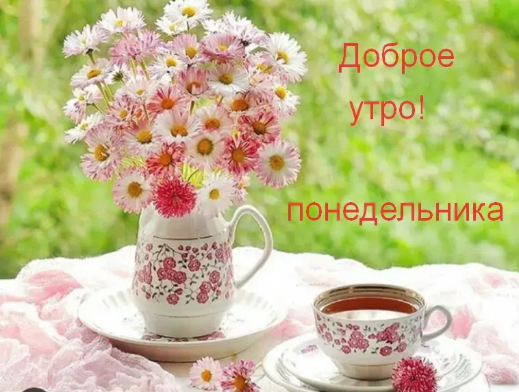 Открытка Доброе утро понедельник - Ромашки и чай: утреннее настроение  Открытка | Красивая открытка #13