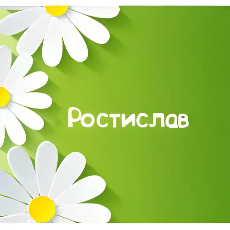 Открытка Открытки с именем Ростислав  - Открытка с цветами: Зеленый фон, белые цветы с желтыми центрами | Красивая открытка #71