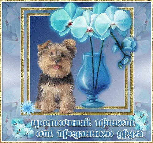 Открытка Привет другу/подруге - Открытка с щенком и голубыми цветами | Красивая открытка #13