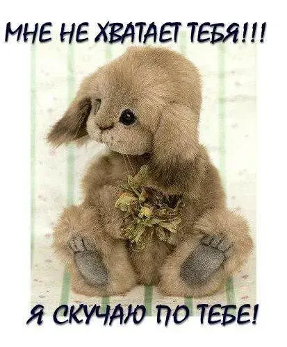 Открытка Открытки скучаю по тебе - Пушистый зайчик с цветами - открытка к празднику | Красивая открытка #13