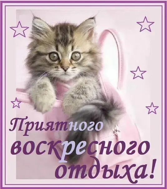 Открытка Удачного воскресенья - Открытка с котенком: Пасха, весна, милота | Красивая открытка #5