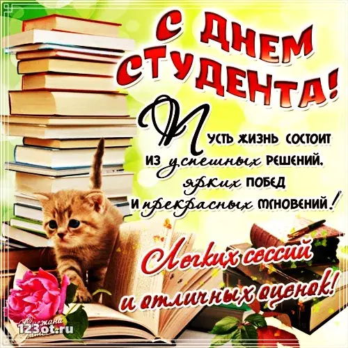 Открытка День студента - С Днём Студента! Открытка с котенком и цветами | Красивая открытка #78