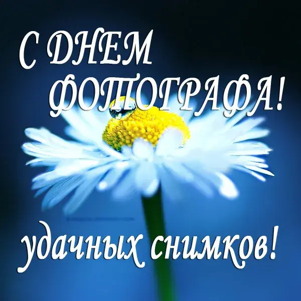 Открытка День фотографа - Открытка с ромашкой  поздравления с днем рождения | Красивая открытка #10