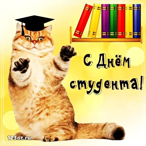 Открытка День студента - Поздравления с Днём знаний: смешной кот в шапке | Красивая открытка #151