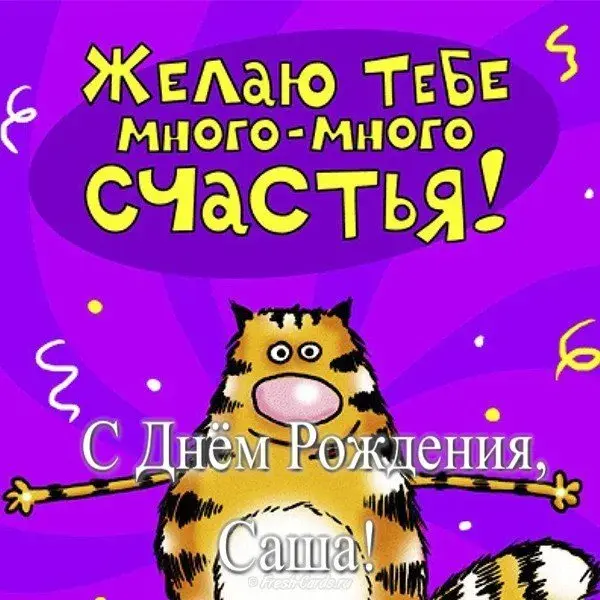 Открытка открытки с именем Александр - Открытка с котиком: С Днем Рождения! | Красивая открытка #56