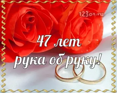 Открытка Открытки на Кашемировую/Шерстяную свадьбу 47 лет - Свадебные открытки: обручальные кольца и розы | Красивая открытка #33