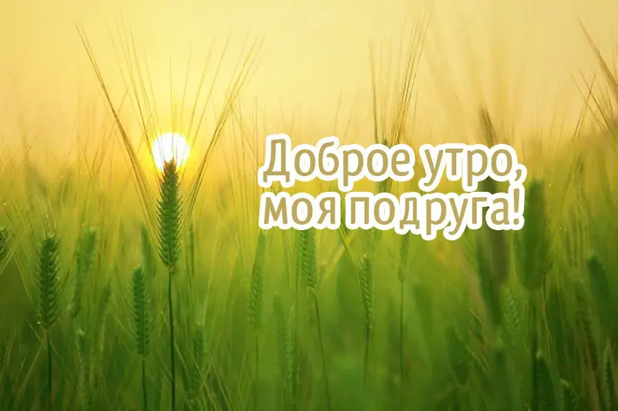 Открытка Открытки доброе утро подруга - Доброе утро! | Красивая открытка #21
