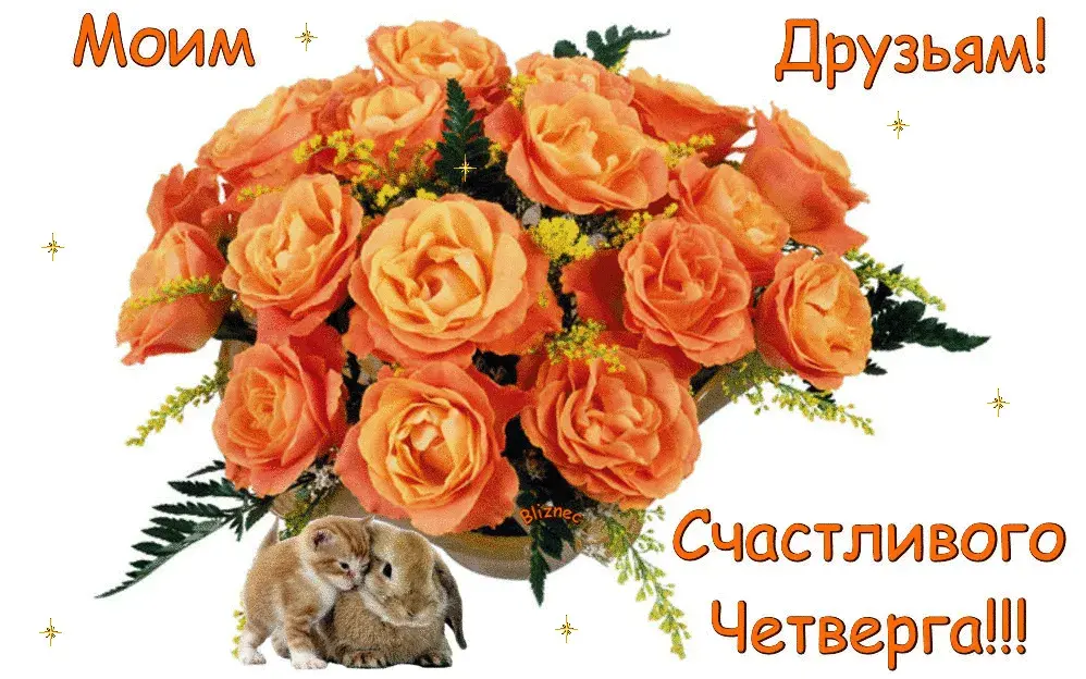 Открытка Открытки на четверг - Открытка с букетом роз и котятами | Красивая открытка #53