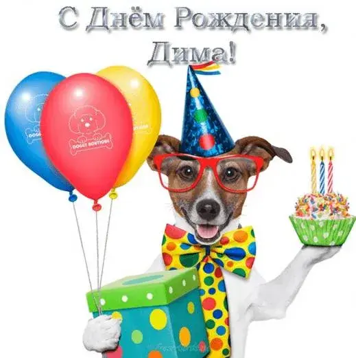 Открытка открытки с именем Дмитрий  - Открытка с собакой на день рождения | Красивая открытка #185