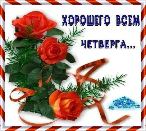 Открытка Четверг - Открытка с красными розами и еловыми ветвями | Красивая открытка #29