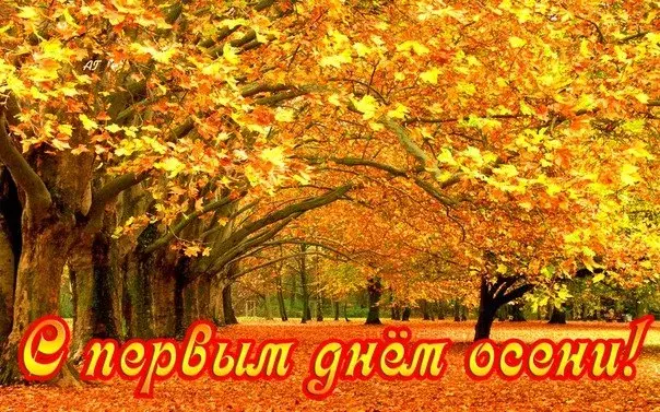 Открытка Открытки с первым днем осени - Золотая осень: открытка с осенним пейзажем | Красивая открытка #90