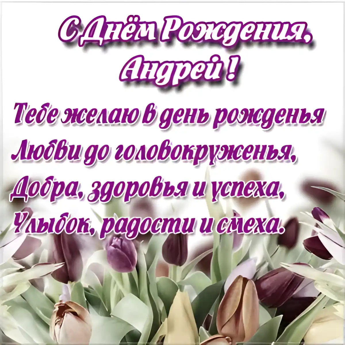 Открытка открытки с именем Андрей - Открытка: С Днём Рождения! Тюльпаны | Красивая открытка #229