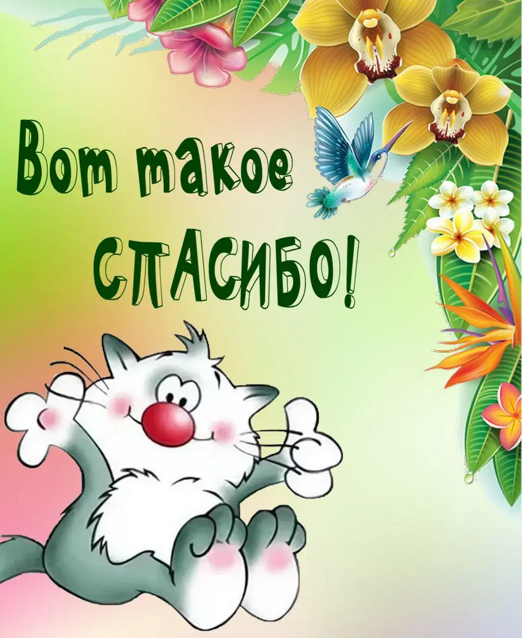 Открытка Спасибо - Открытка с котом и цветами | Красивая открытка #193