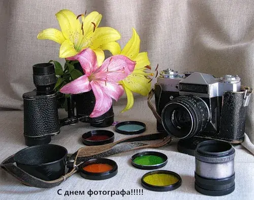 Открытка День фотографа - С Днем Фотографа: винтажная камера и лилия | Красивая открытка #19